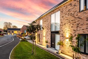 Adrian Shinn Way- click for photo gallery